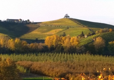 Paesaggi vitivinicoli di Langhe Roero e Monferrato UNESCO