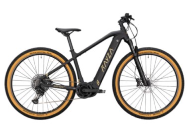 E-Bike MTB