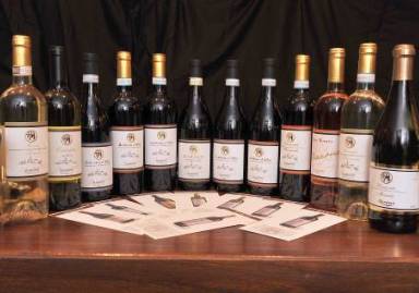 Vini delle Langhe e Cantina Marone